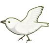 Bird Animal Wings Flying