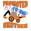 Promoted to big brother