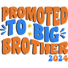 Promoted to big brother 2024