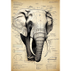 Elefant