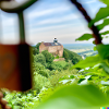 Lonely Castle
