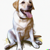 Amour Labrador