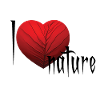 Coeur Veiné Rouge