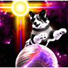 Space Dog