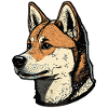 Akita Inu Dog