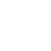 roboticist definition