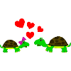 schildkrötenliebe