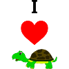 i love turtles