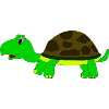 schildkröte