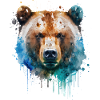 Ours - Aquarelle
