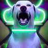 Labrador future