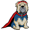 Supertchup the hero dog
