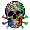Zentangle skull