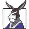 Zok the grumpy donkey