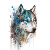Siberian Husky 2