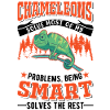 Caméléon Cadeau Caméléon