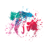 Splash Art Elephants
