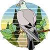 Vogel