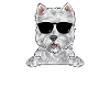 West Highland White Terrier Westie