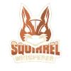 Squirrel Animal Rodent
