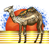 Camel