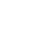 Roller Coaster Dad