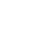 Roller Coaster Son