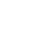 Roller Coaster Mom