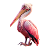 Polygonal pelican