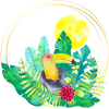 L’été avec le toucan