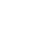Winged Skeleton Noir