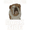 Bulldog