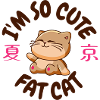 Mignon gros chat