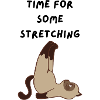 Cat Yoga