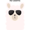 No Drama lama