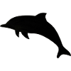 Dolphin silhouette