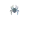 Spider Lover Gifts