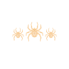 Spider Lover Gifts