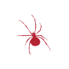 Spider Lover Gifts