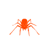 Spider Lover Gifts