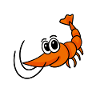 Shrimp Shrimp