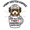 Coffee and Aussiedoodle dog