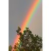 Regenbogen