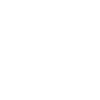 BIG SIS Big Sister