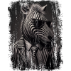 Extravagantes Zebra