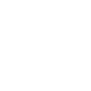 Vegvisir Raven Odhin Valhalla Vikings