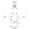 Raven Valhalla Viking Vegvisir Raven