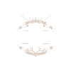 Sozialarbeiter Beruf