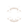 Steuerberater Beruf