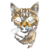 süße Katze getigert getiegert